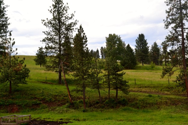 my beautiful home in Oregon