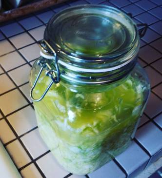 12466332_10208708906706495_6203632713933855765_o