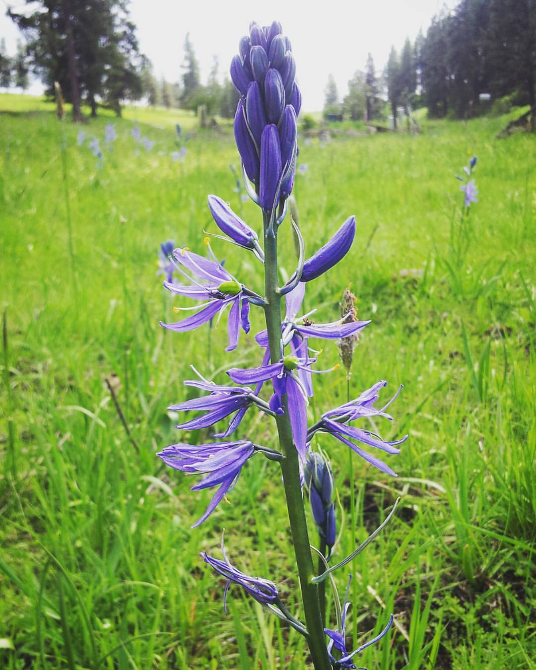 13131562_10209711691215481_2871470259410292350_o