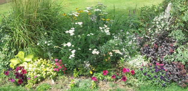 14484652_10210913523020525_8697859291015077322_n