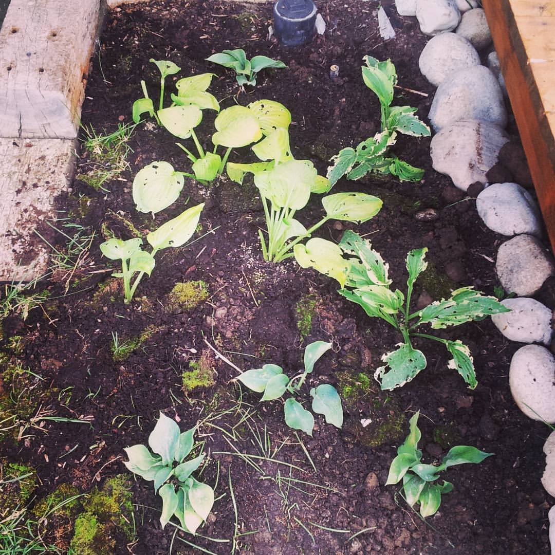 20643143_10214100266167112_7530359568585969191_o