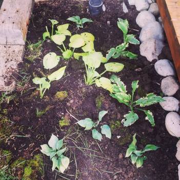 20643143_10214100266167112_7530359568585969191_o