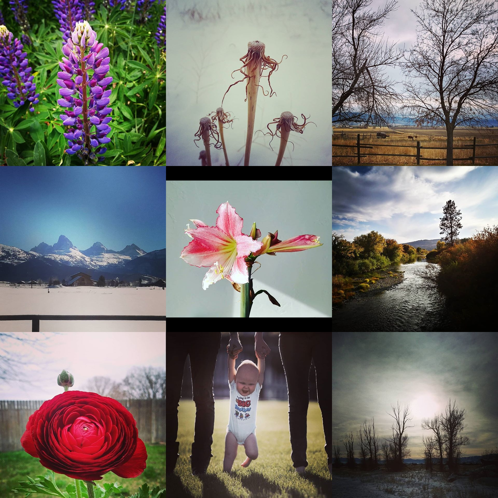 157765732854840741034