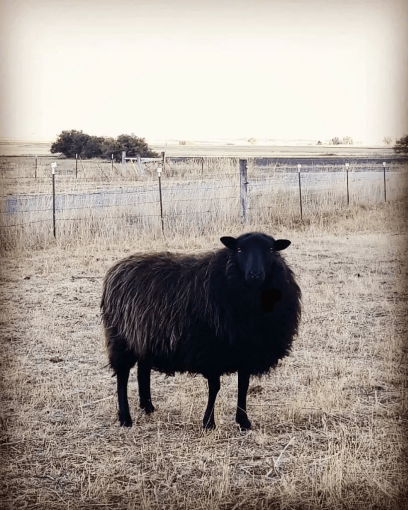 This image has an empty alt attribute; its file name is image-1.png